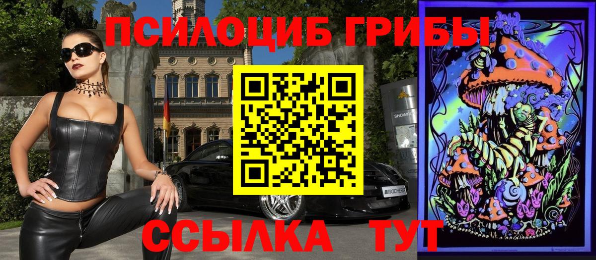 Галлюциногенные грибы Psilocybe Новошахтинск
